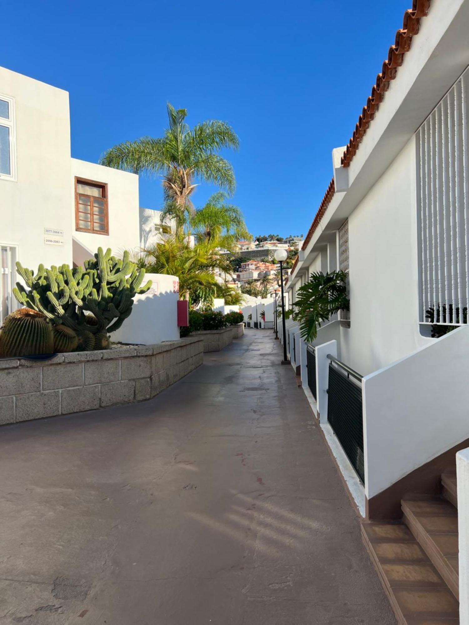 אדחה Lovely Sunny Apartment מראה חיצוני תמונה
