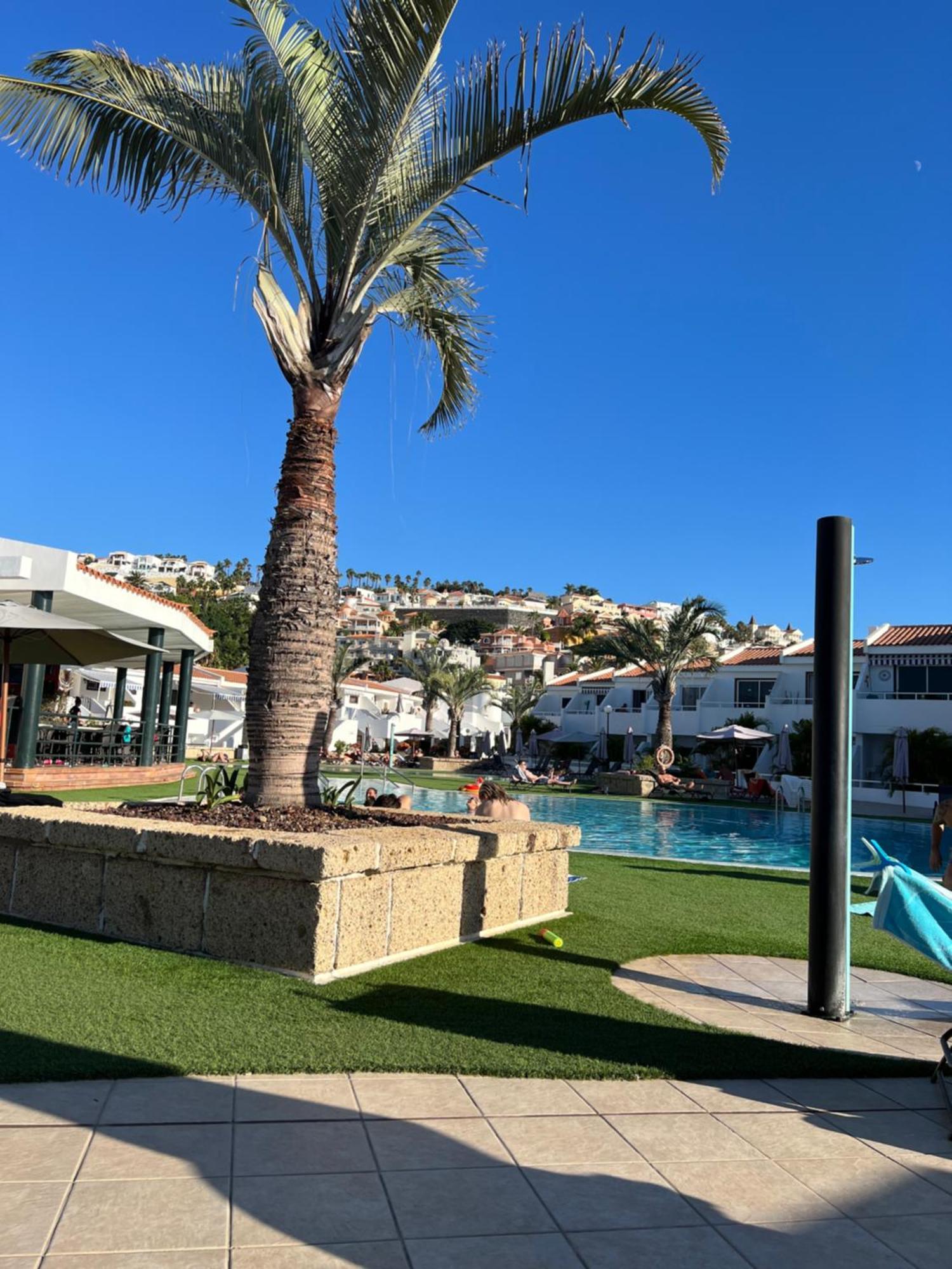 אדחה Lovely Sunny Apartment מראה חיצוני תמונה